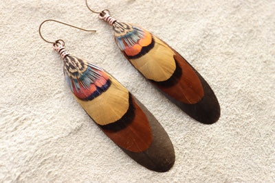 Desert Rainbow Feather Dangles