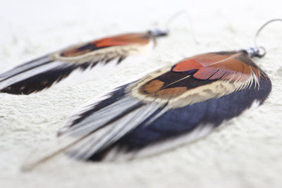 Desert Oasis Feather Dangles