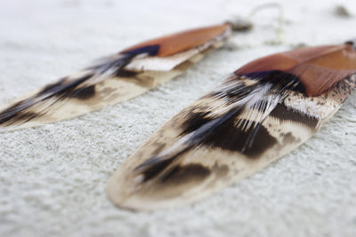 Desert Fox Feather Dangles